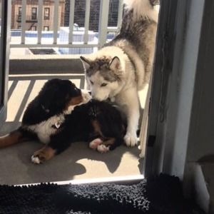 Meet your Posher, Rosemarie